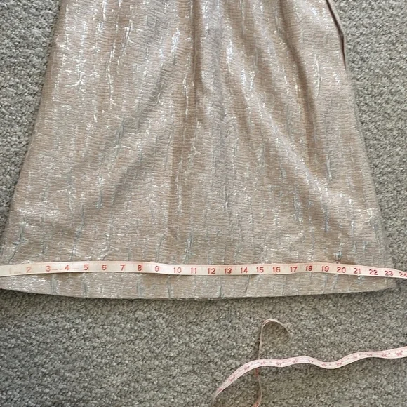 Vintage hunter Dixon brocade lined dress in silver & blush size 2 - Picture 11 of 14
